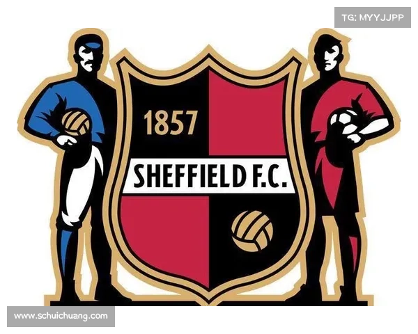 巴萨队徽更换历程与现代设计的完美融合探索